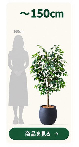 ～150cm