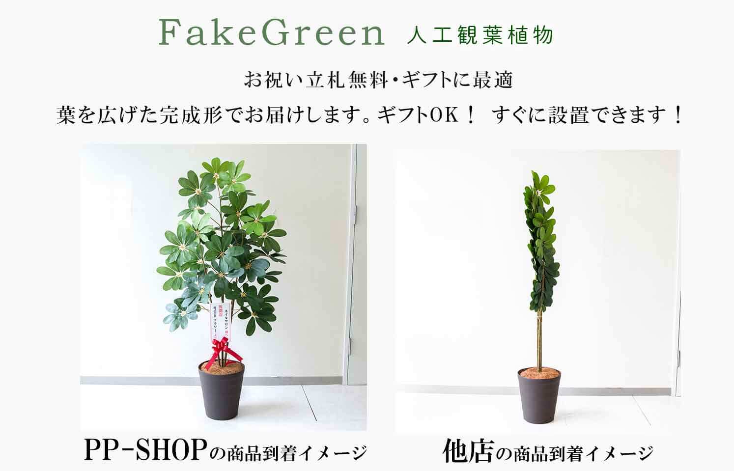 フェイクグリーン(人工観葉植物)/ウンベラータ|祝い花屋 by PP